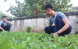 Mâm ngũ quả đặc biệt của lính Trường Sa trong ngày Tết